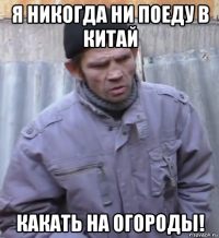 я никогда ни поеду в китай какать на огороды!