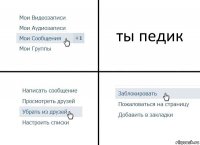 ты педик