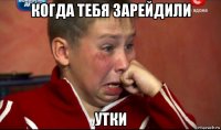 когда тебя зарейдили утки