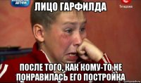 лицо гарфилда после того, как кому-то не понравилась его постройка