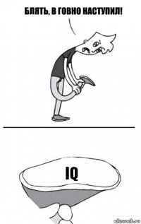 IQ