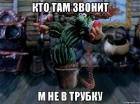 кто там звонит м не в трубку