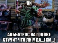 ой альбатрос на голове стучит что ли мда...! хм...!