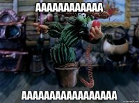 аааааааааааа ааааааааааааааааа