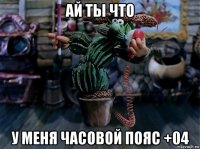 ай ты что у меня часовой пояс +04