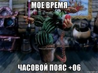 мое время часовой пояс +06