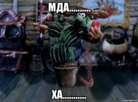 мда.......... ха...........