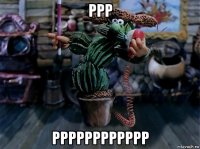 ррр рррррррррррр