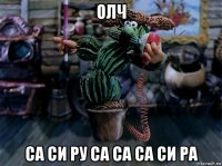 олч са си ру са са са си ра