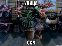 улица ссч