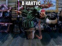 в кактус 