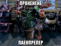 прокенене паенпрепер