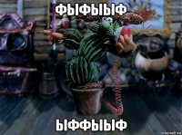 фыфыыф ыффыыф