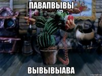 павапвывы вывывыава