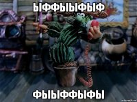 ыффыыфыф фыыффыфы