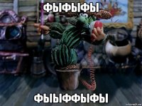 фыфыфы фыыффыфы