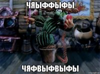 чяыффыфы чяфвыфвыфы