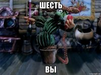 шесть вы