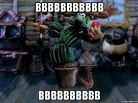 ввввввввввв вввввввввв