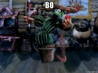 во 