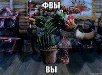 фвы вы