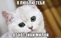 я люблю тебя от котэйки милой