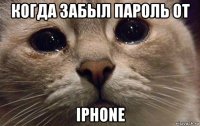 когда забыл пароль от iphone