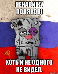 ненавижу поляков! хоть и не одного не видел.