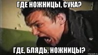 где ножницы, сука? где, блядь, ножницы?