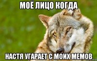 моё лицо когда настя угарает с моих мемов