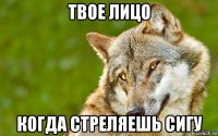 твое лицо когда стреляешь сигу