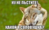 ну не льстите! какой я соловушка?