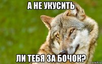 а не укусить ли тебя за бочок?