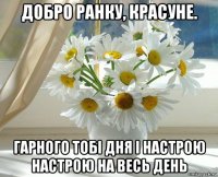 добро ранку, красуне. гарного тобі дня і настрою настрою на весь день