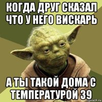 когда друг сказал что у него вискарь а ты такой дома с температурой 39