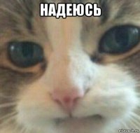 надеюсь 