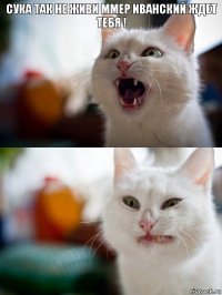  они убили кенни сволочи опять !!!!!!!!!!!!!! е а сука мала ор ем а п, Мем Котэ ржака