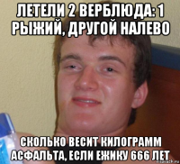 летели 2 верблюда: 1 рыжий, другой налево сколько весит килограмм асфальта, если ежику 666 лет