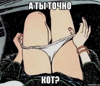 а ты точно кот?