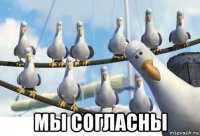  мы согласны