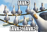 java? java?! java?!