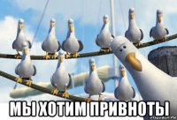  мы хотим привноты