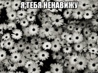 я тебя ненавижу 