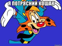 я потрясний кошак 