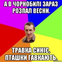 а в чорнобилі зараз розпал весни. травка синіє, пташки гавкають.