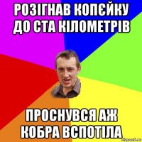 розігнав копєйку до ста кілометрів проснувся аж кобра вспотіла