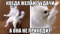 когда желают удачи а она не приходит