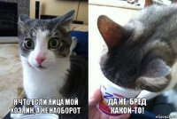 Я что если Яйца мой хозяин, а не наоборот Да не. бред какой-то!