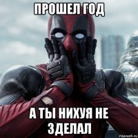 прошел год а ты нихуя не зделал