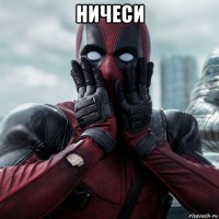 ничеси 